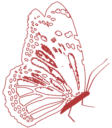 Mariposa izquierda